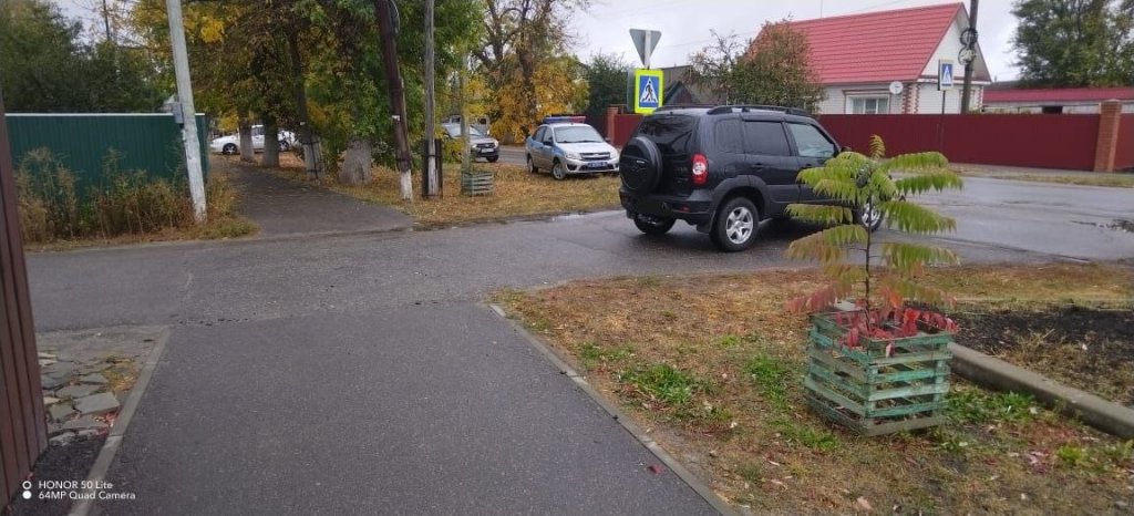 дт1.jpg дт1.jpg