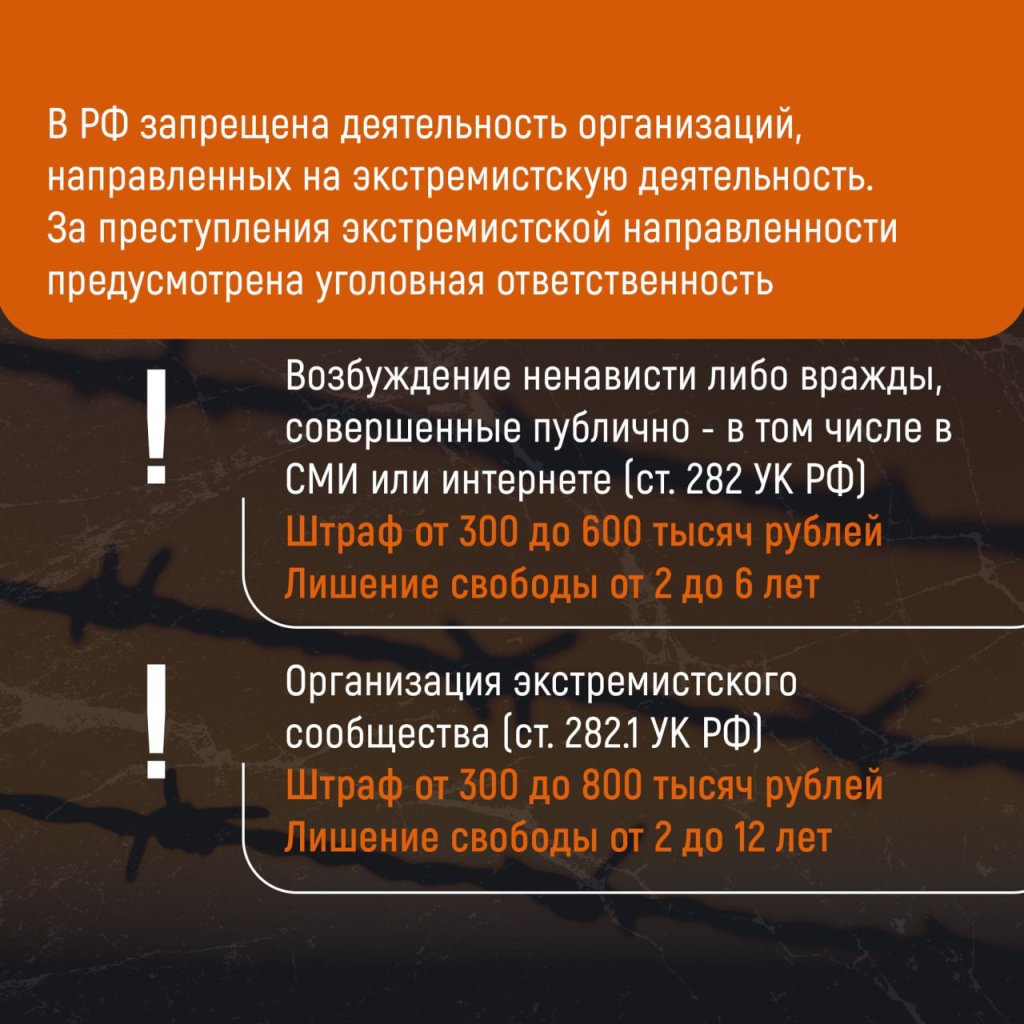 5.jpg 5.jpg