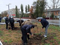 Аркадакская молодёжь продолжает участвовать в экологической акции по высадке деревьев