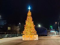 В Аркадаке установили первую новогоднюю ёлку