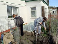 Волонтёры трудились на приусадебных участках пожилых аркадакцев
