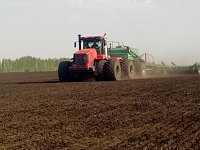 В Аркадакском районе приступили к севу озимых культур