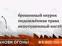 Огонь - самая страшная угроза для леса