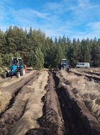 На территории 13,2 гектара Аркадакского лесничества этой осенью высадили более 40 тысяч сеянцев сосны, дуба и ясеня