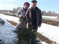 У Шишкиных из Алексеевки на участке прижились ёлочки