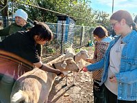 Аркадакские школьники узнали секреты успешного фермерства