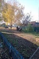 В селе Львовка осенняя уборка продолжается