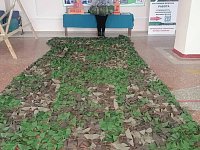 Новосельские женщины сплели для наших бойцов очередные маскировочные сети