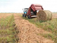В Аркадакском районе завершена кормозаготовительная кампания