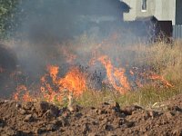 В Аркадакском районе от поджога сухой травы пострадали жилые строения