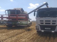 149 тысяч тонн зерна собрано в нашем районе