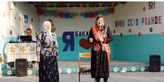В Баклушах отметили День села