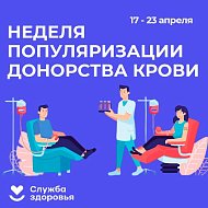 Саратовские врачи напомнили правила сдачи крови. В области Неделя популяризации донорства крови
