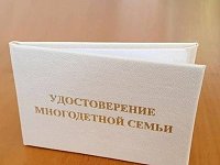 Более 80 аркадакских многодетных семей получили удостоверения нового образца