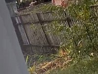 В Аркадаке по улицам ходил… голый гражданин