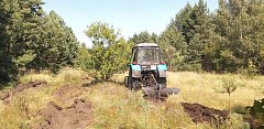 Аркадакское лесничество готовит землю под посадку сеянцев