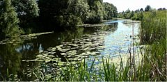 Исток реки Ольшанки начали благоустраивать