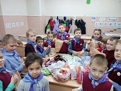 Аркадакские школьники приготовили сладкие подарки для бойцов спецоперации 