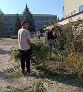 Аркадакское студенчество включилось в большую осеннюю уборку города