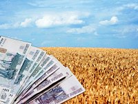 Сельхозпредприятия района получают субсидии