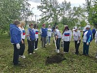 Аркадакские волонтеры приняли активное участие в акции "Сад. Связь поколений"