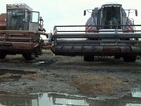 Дожди приостановили уборочные работы на полях района