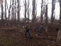 В Красном Знамени идёт опиловка деревьев и уборка общественных территорий