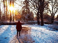 В последнюю неделю января погода будет удивлять нас и дальше