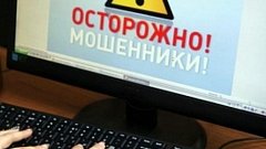 В селе под Аркадаком школьница попалась на хитрости мошенников