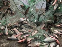 Всё о майских криминальных происшествиях в Аркадакском районе