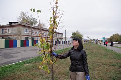 По инициативе депутата облдумы Василия Кравцова  в Аркадаке заложили липовую аллею 