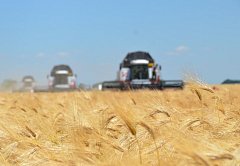 Аркадакский район вошёл в тройку лидеров по урожайности 