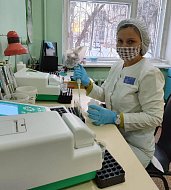 Специалисты по лабораторной диагностике районной больницы занимаются широким спектром исследований