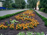 Бульвар Культуры украсили сотни бархатцев