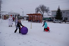 В городском парке "Юбилейный" для детей прошла игровая программа «Зимние забавы со Снеговиком»  