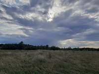 Метеочувствительных аркадакцев в ближайшие дни ждут перепады атмосферного давления