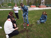 В эти погожие апрельские дни в сёлах Аркадакского района проходит акция "Сад памяти"