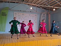 Команда из «Голубой ели» участвовала в областном фестивале