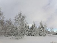 Первые дни рабочей недели для аркадакцев будут холодными