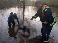 В реке Хопер на территории Аркадака водолазы достали утопленника