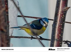 Никита Васин из Росташей увлекается фотографированием