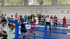 В турнире по боксу "Аркадакский ринг" наши спортсмены удар держали