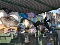 Мусор в городе. Проблема решается