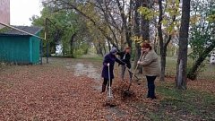 В Большежуравском МО  окашивают общественные места и ведут осеннюю уборку территорий