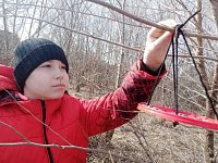 Аркадакские школьники сделали скворечники и кормушки для птиц своими руками