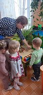 В «Светлячке» появились огороды на подоконниках