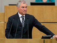 Вячеслав Володин: "Встречи депутатов с избирателями должны быть не реже одного раза в течение месяца"