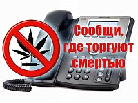 Стартовал второй этап Общероссийской антинаркотической акции «Сообщи, где торгуют смертью»