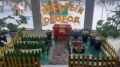 В «Светлячке» появились огороды на подоконниках