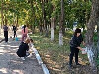 Аркадакское студенчество включилось в большую осеннюю уборку города
